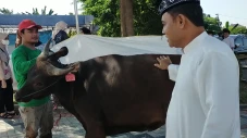 Fuji Berkurban Atas...