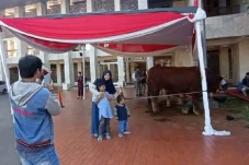 Idul Adha 1443 Hijriah,...