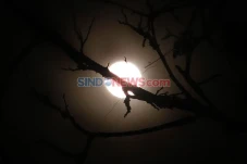 14 Juli Nanti Ada Supermoon,...