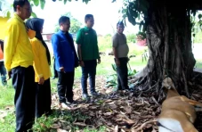 KIB di Sinjai Berkurban...