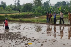 Geger! Petani di Sukabumi...