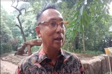 Datangi Kebun Binatang...