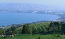 Air Danau Tiberias Kembali...