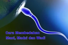 Perbedaan Mani, Wadi...