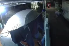 Apes, Pria Ini Ditangkap...