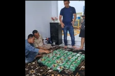BNN Sumut Sikat Pengedar...