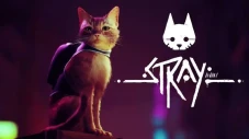 Stray, Game Simulasi...