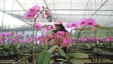 Intip Wisata Taman Arjuno...