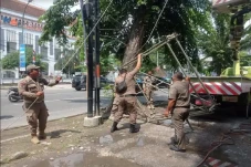 Menyalahi Aturan, Sejumlah...