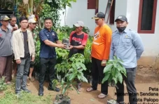 Wakil Ketua DPRD Palopo...