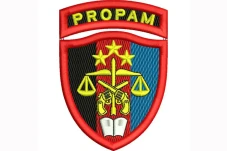 Mengenal Sejarah Propam...