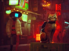 Developer Game Stray...