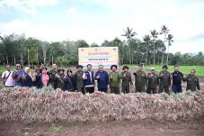 Kota Padang Sidempuan...