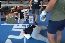 Logan Paul Dipukul KO...