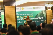 210 Petani Luwu Utara...
