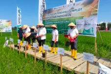Petrokimia Gresik Perkenalkan...