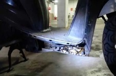 Tips Cegah Ular Masuk...