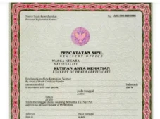 Cara Mengurus Surat...