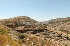 Ilmuwan Israel Temukan...