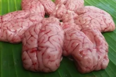 4 Bagian Tubuh Kambing...