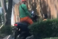 Viral! Petugas PPSU...