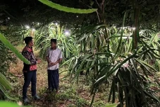 Terang Bohlam dari PLN...
