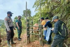 Vaksin PMK untuk Ternak...