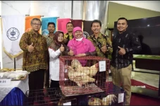 IPB Kembangkan Rumpun...
