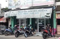 Karyawan Bobol Pet Shop...
