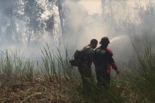 Lahan Terbakar di Sumsel...