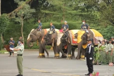 Ketika Gajah, Trenggiling...