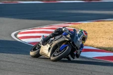 Darryn Binder Prediksi...