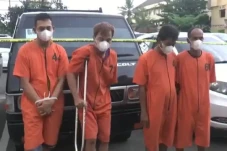 Gasak Pikap di 11 TKP,...