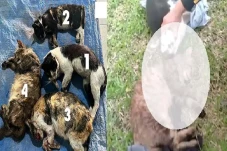 Pandangan Islam Terkait...