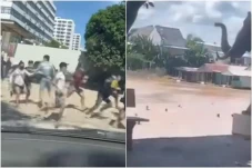 40 Pekerja Kasino Melarikan...