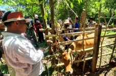 Cegah PMK di Kecamatan...