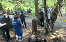 Polda Bali Ungkap Penyebab...