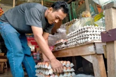 Meroket, Harga Telur...