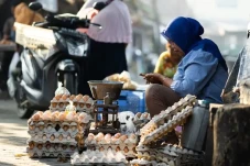 Diprotes DPR Harga Telur...