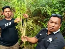 Sakit Hati Tak Dapat...