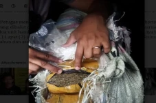 Pasutri Asal Jambi Pembawa...