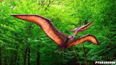 4 Dinosaurus Terbang...