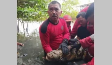 Mengerikan! Ini Penampakan...
