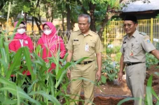Taman Produktif PKK...