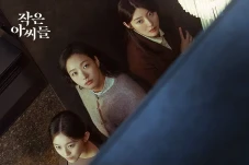 Sinopsis Drama Korea...