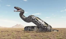 Mengapa Ular Titanoboa...