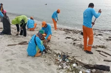 Setiap Pekan, 4 Ton...