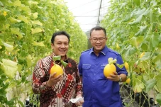 Stafsus Presiden Sebut...