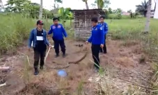 Ular Piton 5 Meter Gegerkan...