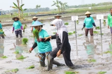 Hadapi Perubahan Iklim,...